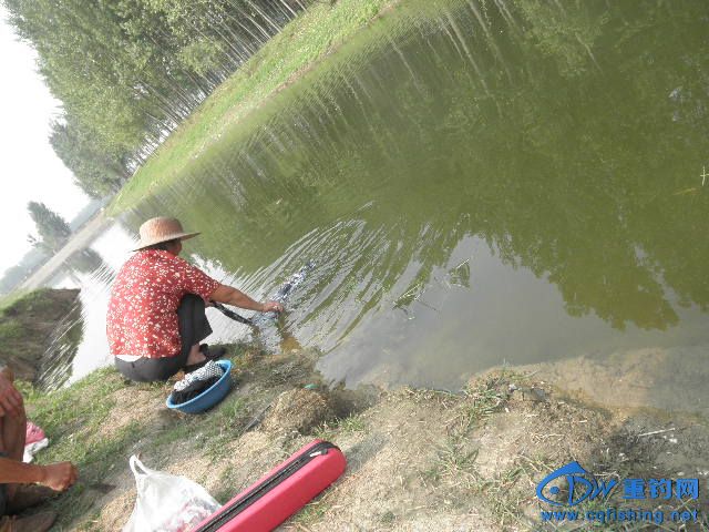P1010272.JPG