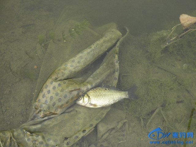 P1010274.JPG
