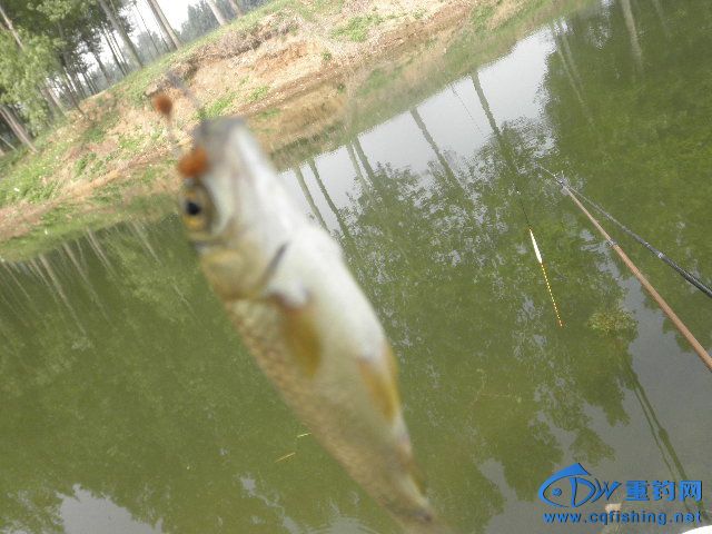 P1010277.JPG