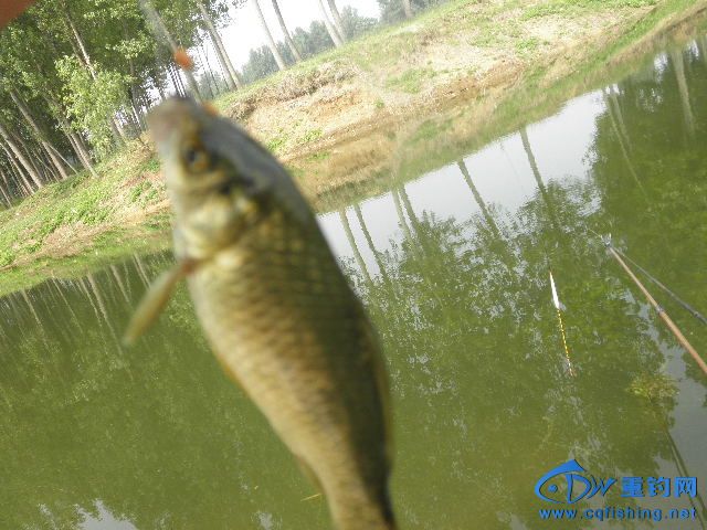P1010278.JPG