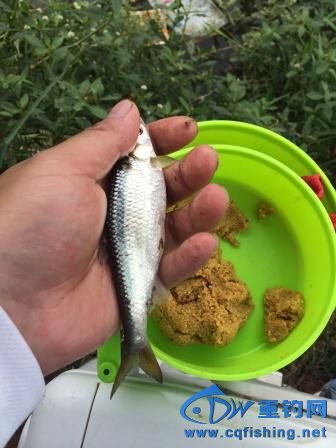 IMG_0437.JPG