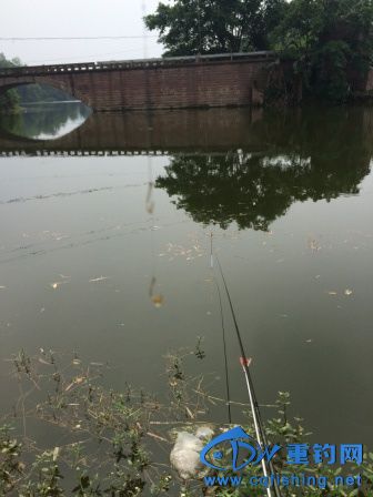 IMG_0436.JPG