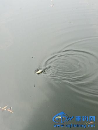 IMG_0448.JPG