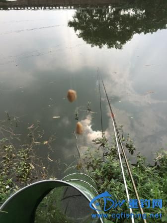 IMG_0461.JPG