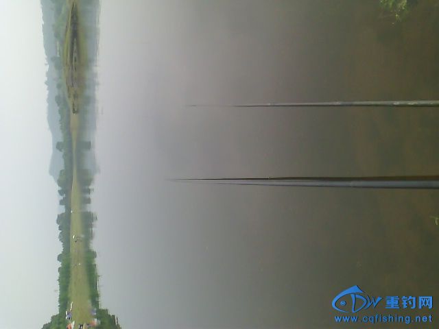 183815scs91886n8kzs0yk.jpg