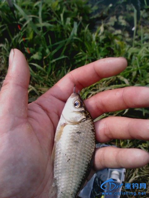IMG_20140408_161322_0.jpg