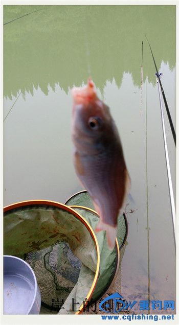 20140607_171743.jpg