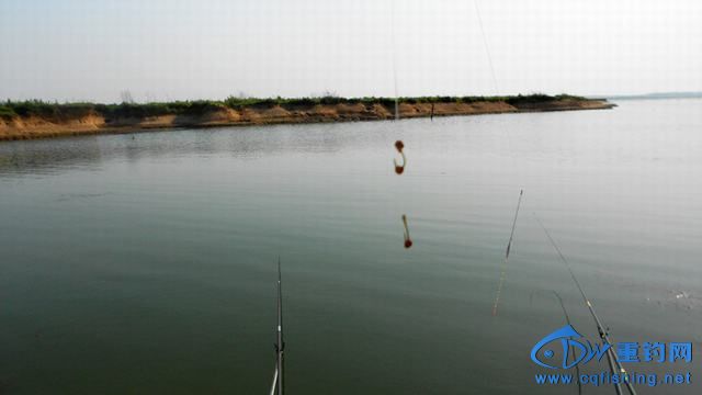 14060920489fa2c7eb50a7f456.jpg