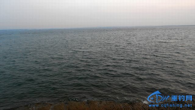 140609204553f018716de4e6e2.jpg