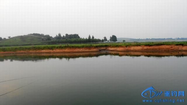 14060920482278cdeeb941cd41.jpg