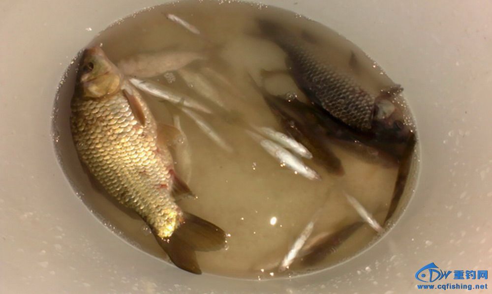 IMAG0690.JPG