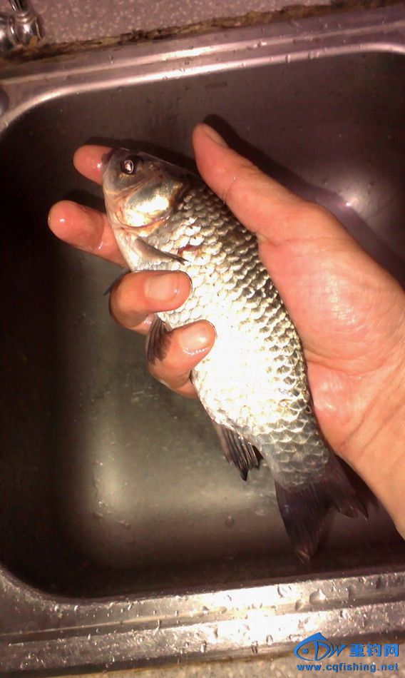 IMAG0693.JPG