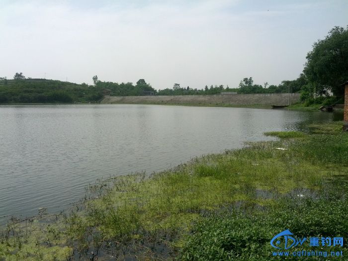 140351tw013wazdbakco7b.jpg