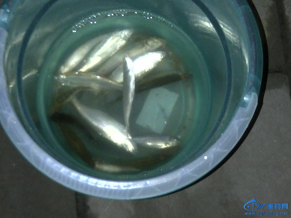 IMG-20140614-00002.jpg