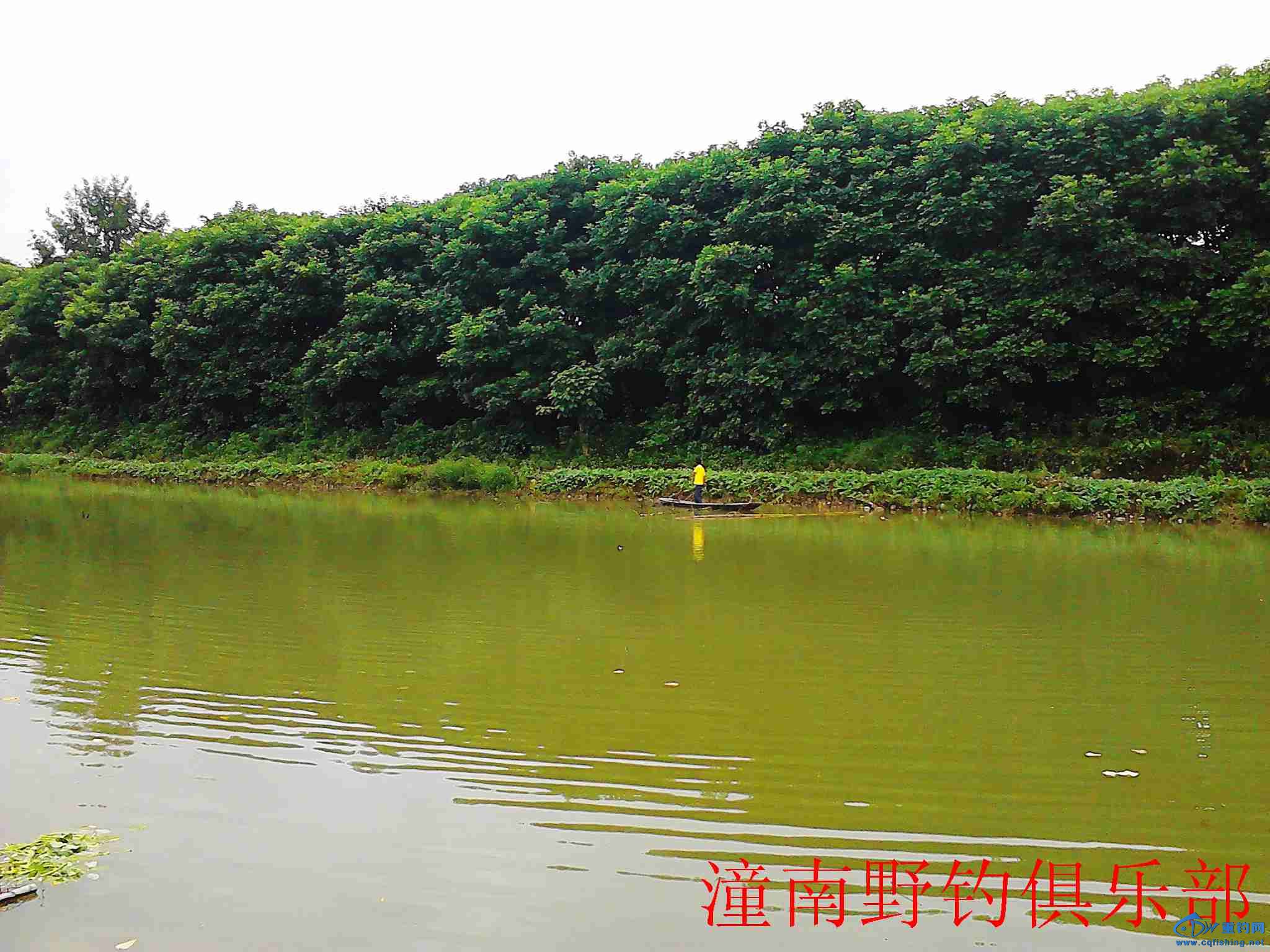 IMG_20140615_133910.jpg
