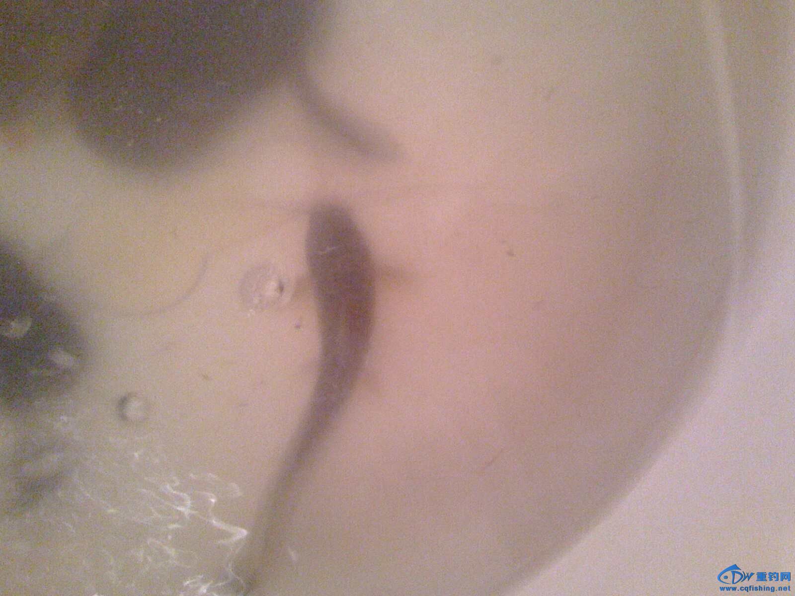IMG0617084200.jpg