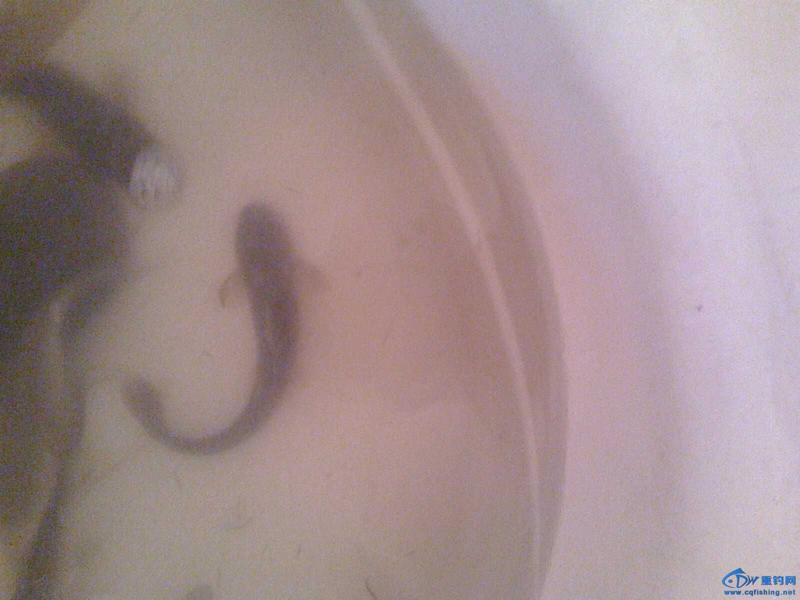 IMG0617084201.jpg