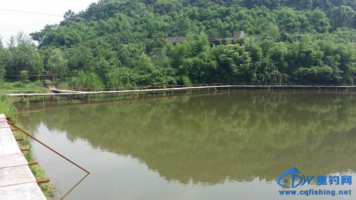 20140617_103938.jpg