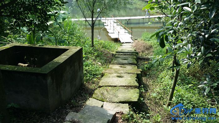 20140617_104450.jpg