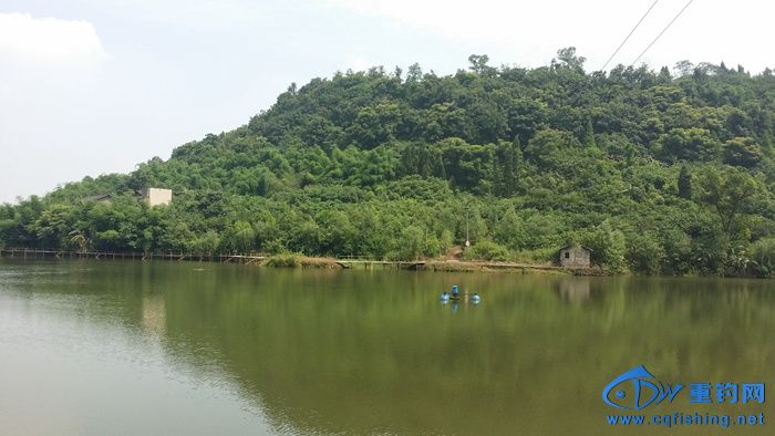 20140617_110509.jpg