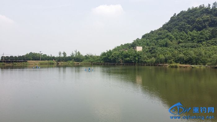 20140617_110512.jpg