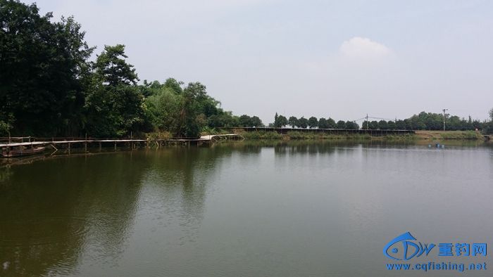 20140617_110518.jpg