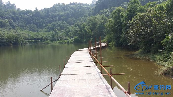 20140617_110524.jpg