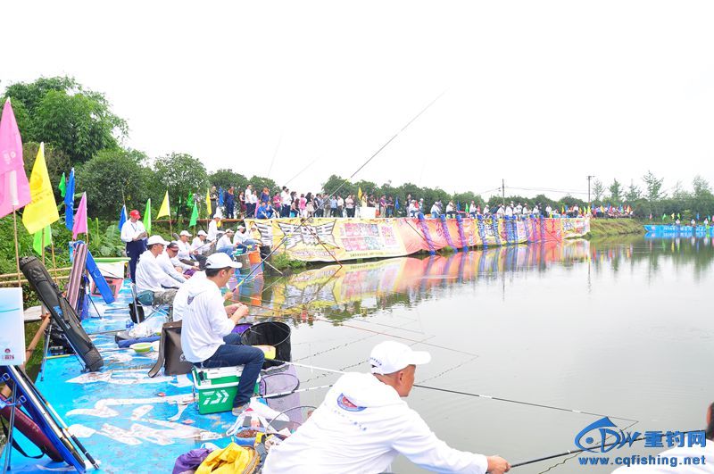 DSC_0297.jpg