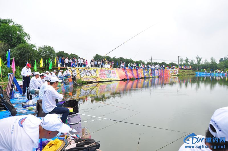 DSC_0299.jpg