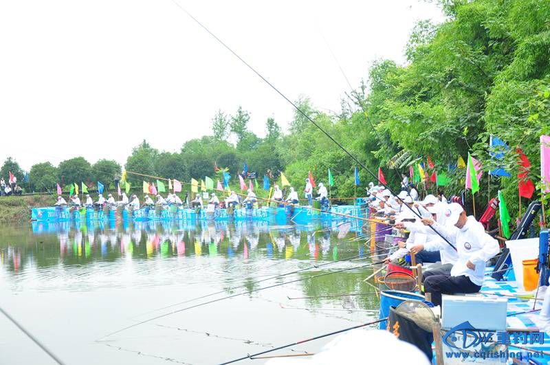 DSC_0405.jpg