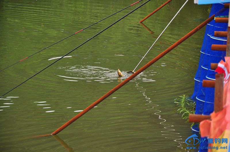 DSC_0438.jpg