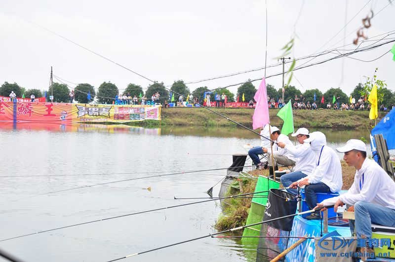 DSC_0455.jpg