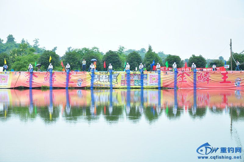 DSC_0486.jpg