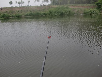 ˮ沨ƺܴ󣬿Ưе.jpg