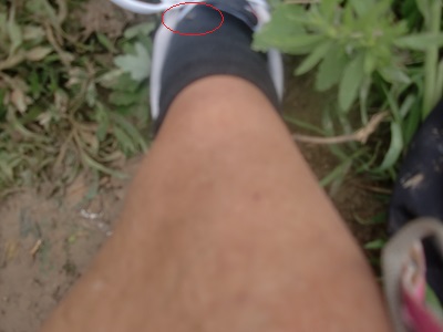 СӬ1.jpg