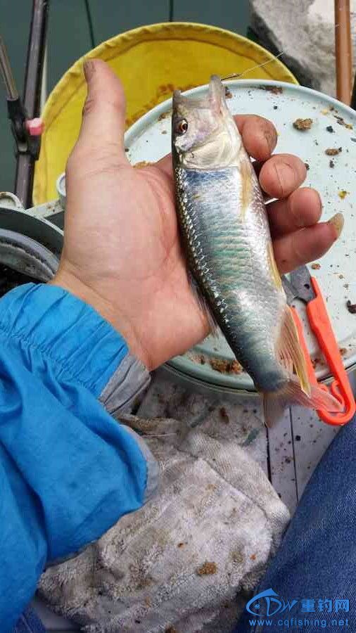 20140628_141924.jpg