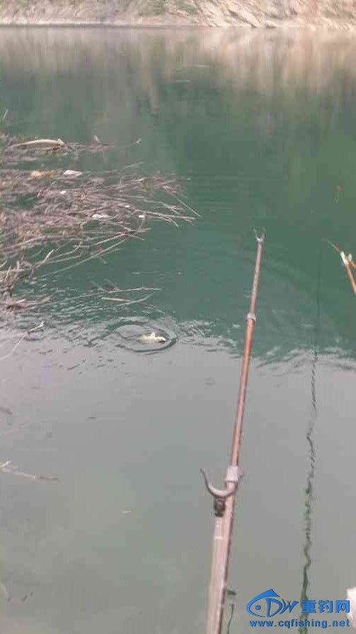 20140628_185019.jpg