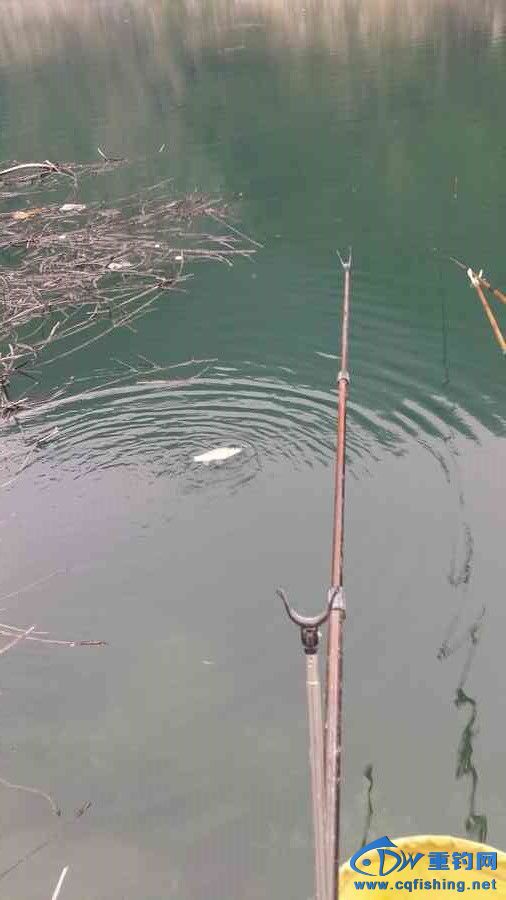 20140628_185036.jpg
