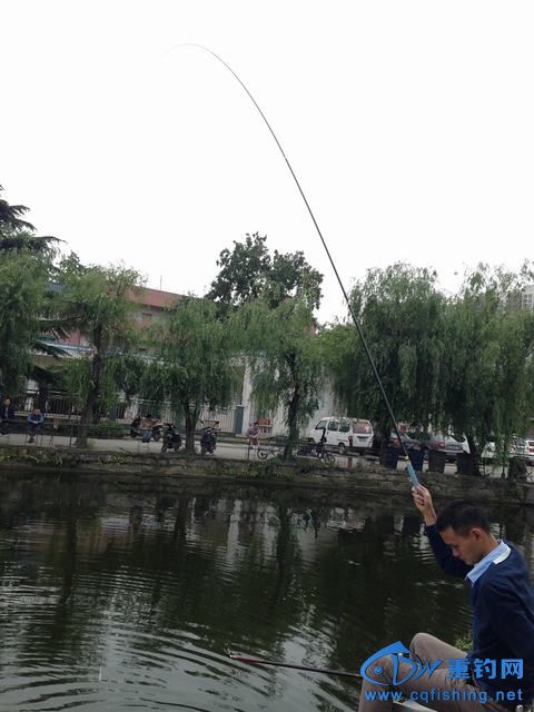 14052601299deafbc51e45e034.jpg