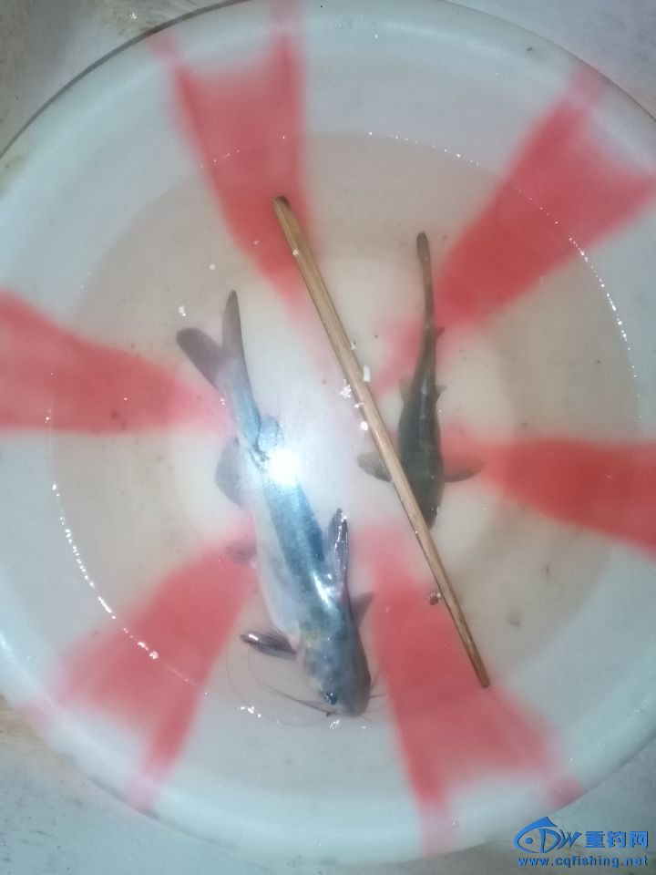 ͿӶԱ