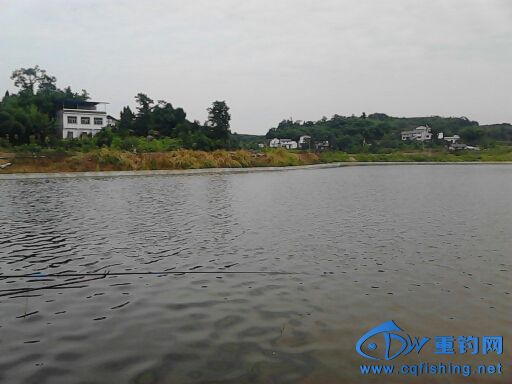 220547i5f1b7rua11pb81z.jpg