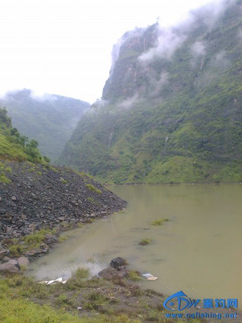 Ƭ0176.jpg