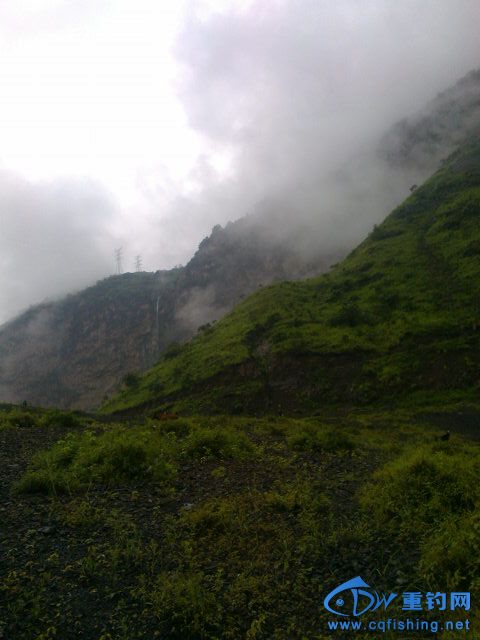 Ƭ0179.jpg