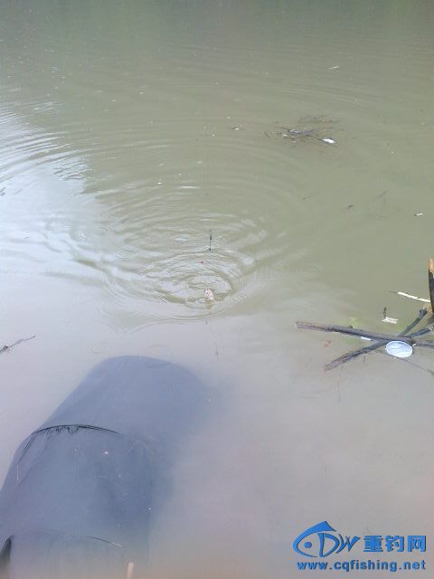 Ƭ0188.jpg