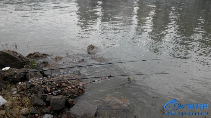 175116f3312mm74y1llq25.jpg