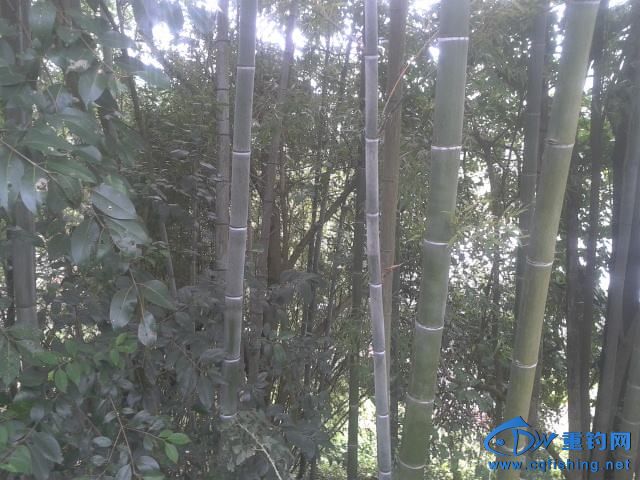 857_2013090713252600_2013-09-07 13.25.27.jpg