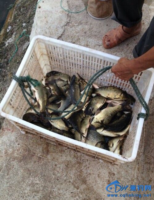 QQ图片20140722153326.jpg