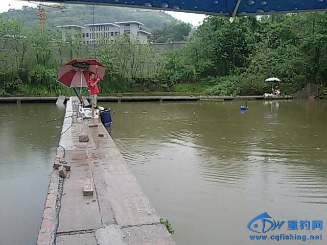 QQͼƬ20140811132403.jpg