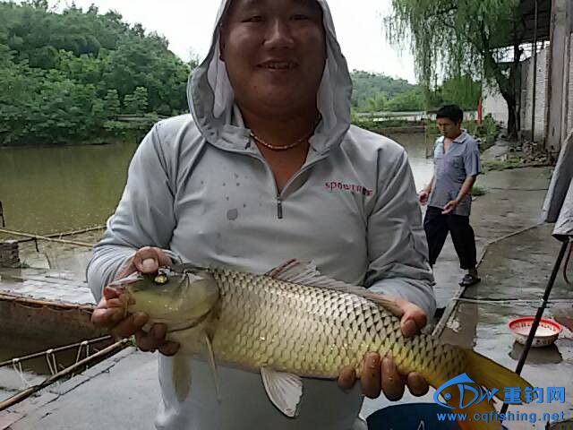 QQͼƬ20140811132407.jpg