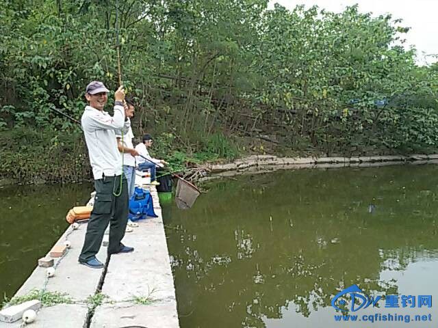 QQͼƬ20140811132322.jpg
